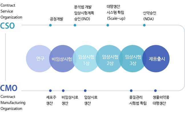 Contract Service Organization CSO 공정개발,분석법 개발 임상시험 계획승인(IND), 대량생산 시스템 확립(scale-up),신약승인(NDA),Contract Manufacturing Organization CMO, 세포주 생산, 비임상시료 생산, 임상시료 생산, 품질관리 시험법 확힙, 생물의약품 대행생산, 연구, 비임상시험, 임상시험 1상, 임상시험 2상, 임상시험 3상, 제품 출시