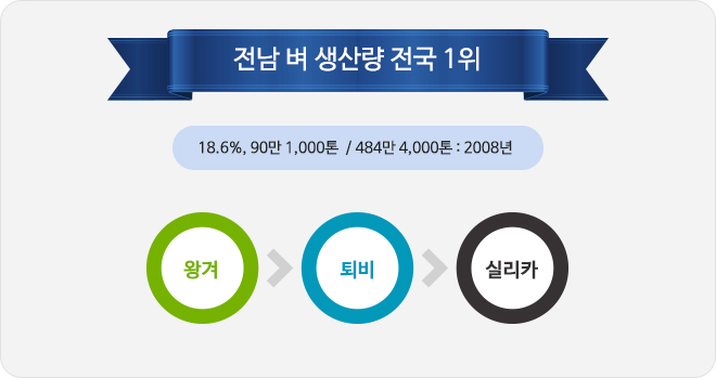 전남 벼 생산량 전국 1위(18.6% 90만 1,000톤.484만 4,000톤 : 2008년) 왕겨  퇴비 > 실리카