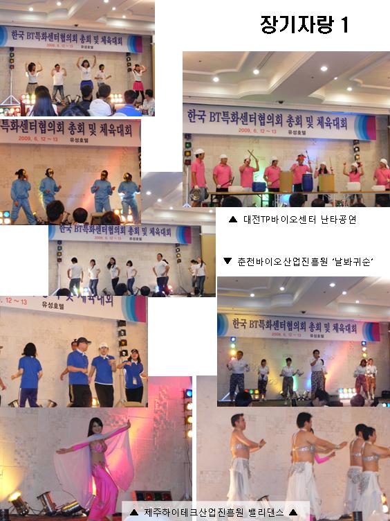 [한국BT특화센터협의회]체육대회 사진3(2009-06-12~13)